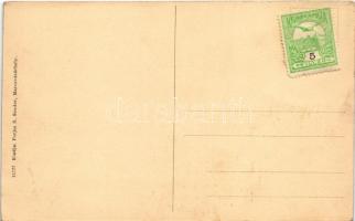 Marosvásárhely, Targu Mures; Tanácsház a Kultúrpalotával, városháza. Porjes S. Sándor kiadása / town...