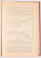 Székelyi Nyiry László: [Nemzeti felszabadulásunk útja.] Történelmi igazságszolgáltatás 1938-1941. Bp...