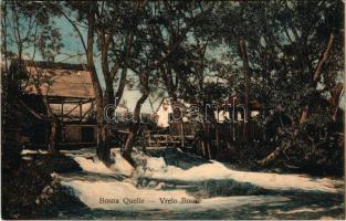 Sarajevo, Bosna Quelle, Vrelo Bosne / spring of river Bosna. L. Finzi (EK)