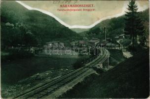 Terebesfejérpatak, Terebes (Trebusa), Dilova, Dilove (Máramaros); Üveggyár, vasúti pálya, híd. Wizne...