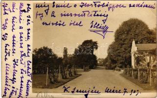 1909 Kállósemjén, Kállay kastély kertje. Rajta Kállay családi levél. photo (EK)