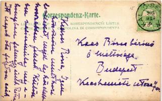 1909 Kállósemjén, Kállay kastély kertje. Rajta Kállay családi levél. photo (EK)