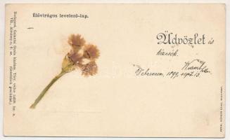 1899 Üdvözlet. Élővirágos üdvözlőlap. Galantai Gyula kiadása, Márkus Samu nyomtatta / Greeting card ...