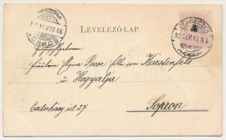 1899 Üdvözlet. Élővirágos üdvözlőlap. Galantai Gyula kiadása, Márkus Samu nyomtatta / Greeting card ...