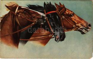 1914 Horse art postcard (EM)