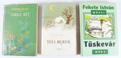 Fekete István 3 kötete: Tüskevár. Bp., 2008, Móra. Kiadói kartonált papírkötés. + Téli berek. Reich ...
