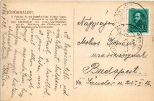 1934 Törökbálint, A Ferenc József kereskedelmi kórház szanatóriuma, a főorvos és az apácák lakása. C...