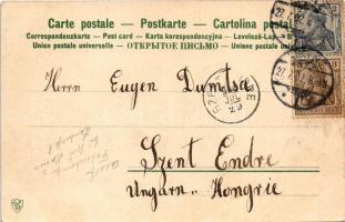 1902 Mainz, Totalansicht. Art Nouveau, litho frame (EK)