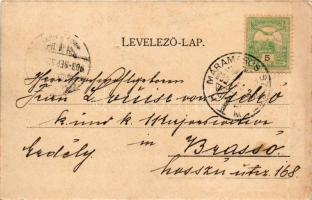 1903 Máramarossziget, Sighetu Marmatiei; Fő tér, piac, Korona szálloda, étterem és kávéház, Klein D....