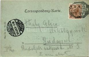 1899 Hinterbrühl, general view at night in moonlight (EK)