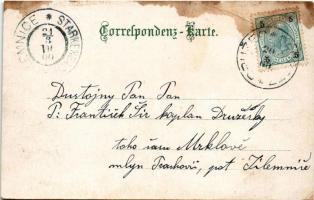 1900 Innsbruck (Tirol), Maria Theresia-Strasse, Goldenes Dachl. Leonhardi's Tinten. Verlag v. A...