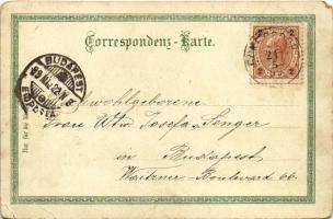 1899 Opava, Troppau; Kaiser Franz Josef-Museum, Schiller-Denkmal / museum, monument, general view. A...