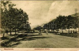 1909 Beszterce, Bistritz, Bistrita; Alsókülvárosi sétatér. Bartha Mária kiadása / street view in the...