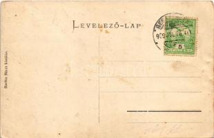 1909 Beszterce, Bistritz, Bistrita; Alsókülvárosi sétatér. Bartha Mária kiadása / street view in the...