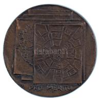 1960 k. "VÁTI (Városépítési Tervező Intézet) / Pro Merito" bronz emlékérem (83mm) T:AU