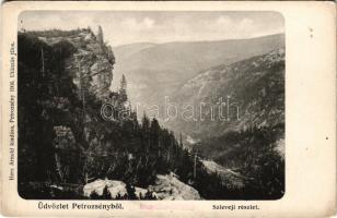 Petrozsény, Petroseni, Petrosani; Szleveji részlet. Herz Arnold kiadása / forest, mountain (kopott s...