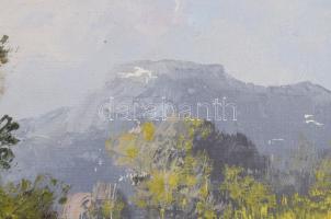 Neogrády A jelzéssel: Napsütötte tanya. Olaj, vászon, kartonon. Fakeretben, 20×29,5 cm