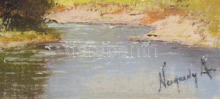 Neogrády A jelzéssel: Napsütötte tanya. Olaj, vászon, kartonon. Fakeretben, 20×29,5 cm