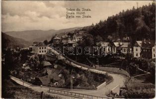 1916 Sinaia, Vedere / részlet nyaralókkal / general view, villas + "K.U.K. FELDPOSTAMT 397&quot...