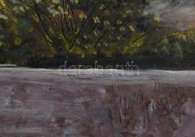 Olvashatatlan jelzéssel (XX. sz. vége): Városrészlet (Németország vagy Ausztria?). Olaj, farost. Fak...