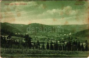 1917 Gura-Putnei, Karlsberg, Putna (Bukovina, Bucovina, Bukowina); Panorama / general view. Verlag v...
