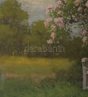 Neogrády László (1896-1962): Virágzó park. Olaj, vászon. Jelezve balra lent. Dekoratív fakeretben. 2...