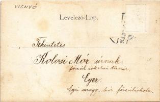 1905 Szilvásvárad, Őrgróf Pallavinici kastély. photo (fl)