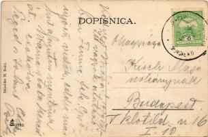 1909 Komorske-Moravice, Cameral-Moravica; vasútállomás. M. Bozic kiadása / railway station (EK)