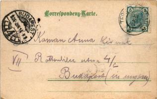 1905 Teplice, Teplitz-Schönau; general view with synagogue (EK)