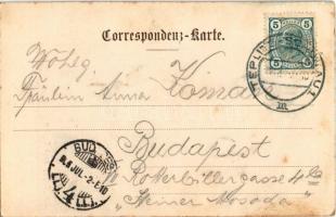 1905 Teplice, Teplitz-Schönau; Ein Ausflug nach Teplitz / general view with synagogue. Montage with ...