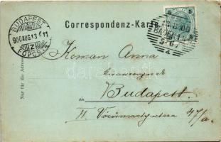 1900 Baden bei Wien, Ruine Rauhenstein und Helenenkirche / castle ruins, church. Verlag Ferd. Mohr (...