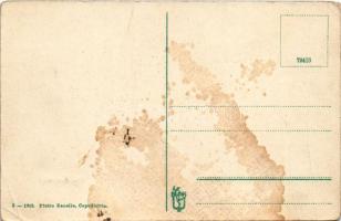 Koper, Capodistria, Capo D'Istria; Piazza da Ponte / market square, donkey (fa)