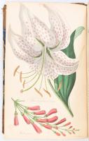 Joseph Harrison: The Floricultural Cabinet and Florist's Magazine
London, 1839-1840. Whittaker...