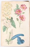 Joseph Harrison: The Floricultural Cabinet and Florist's Magazine
London, 1839-1840. Whittaker...