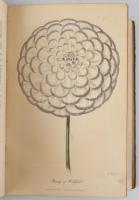 Joseph Harrison: The Floricultural Cabinet and Florist's Magazine (January-December )
London, ...