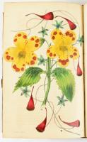 Joseph Harrison: The Floricultural Cabinet and Florist's Magazine (January-December )
London, ...