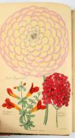 Joseph Harrison: The Floricultural Cabinet and Florist's Magazine (January-December )
London, ...