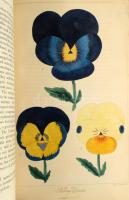 Joseph Harrison: The Floricultural Cabinet and Florist's Magazine (January-December )
London, ...