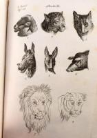 Lavater, J. C. (Johann Caspar): Physiognomik. Zur Beförderung der Menschenkenntniß und Menschenliebe...