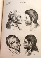 Lavater, J. C. (Johann Caspar): Physiognomik. Zur Beförderung der Menschenkenntniß und Menschenliebe...