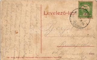 1908 Nagyszőlős, Nagyszőllős, Vynohradiv (Vinohragyiv), Sevljus, Sevlus; M. kir. állami gyermekmenhe...