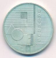 Németország 2004. 10E Ag "Bauhaus Dessau" T:AU patina
Germany 2004. 10 Euro Ag "Bauh...