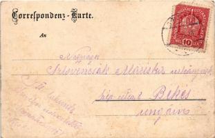 1918 Münster (Tirol), Carl Mayr's Gemischtwarenhandlung / shop of Carl Mayr (EK)