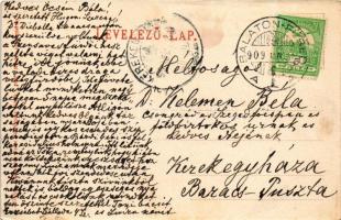 1909 Balatonfüred, Jókay (Jókai) nyaraló, villa. Balázsovich Gyula fényképész kiadása (ázott / wet d...