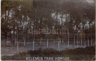 1905 Horgos, Kamaráserdő; Kelemen villa parkja, teniszpálya. Hátoldalon Kelemen Bélánénak címzett le...