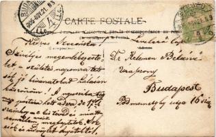 1905 Horgos, Kamaráserdő; Kelemen villa parkja, teniszpálya. Hátoldalon Kelemen Bélánénak címzett le...