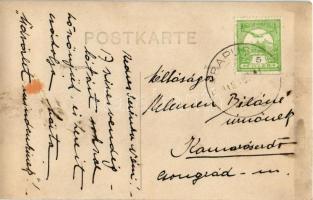 1916 Babapuszta, Aleksa Santic (Zombor); kastély, villa belső / castle, villa interior. photo (fl)