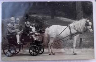 BUDAPEST: VÁROSLIGET, VIDÁMPARK, ŐS-BUDAVÁRA - Kb. 60 db RÉGI város képeslap 1 albumban, közte pár m...