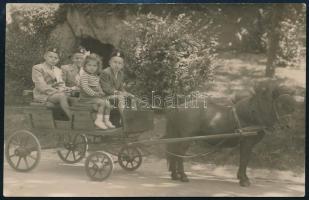 cca 1940-1950 Bp., gyerekek pónifogaton a Fővárosi Állatkertben, fotólap, 9x14 cm