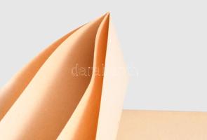 György Lajos: A magyar regény előzményei. Bp., 1941, MTA. 540p. Felvágatlan példány. Kiadói papírköt...